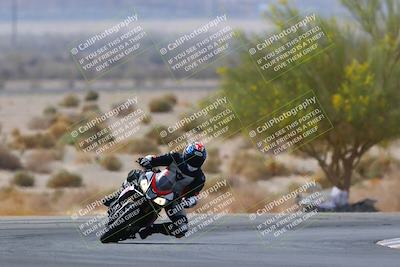 media/Apr-10-2022-SoCal Trackdays (Sun) [[f104b12566]]/Turn 5 Tree of Life (1040am)/